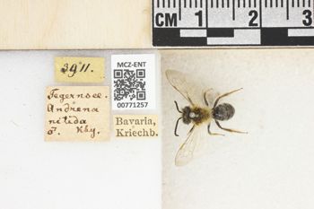 Media type: image;   Entomology 771257 Aspect: Labels